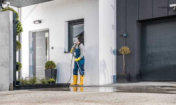 Best Graffiti Removal  in Gifford, FL